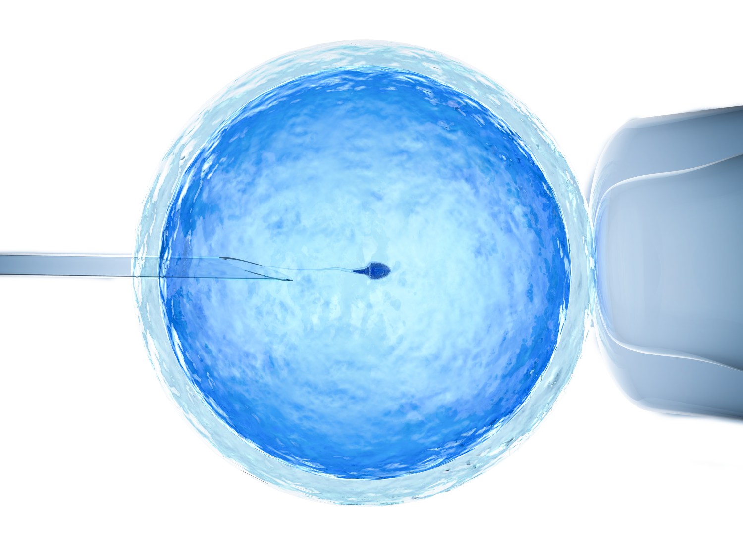 Product Quality Control & Regulatory Compliance