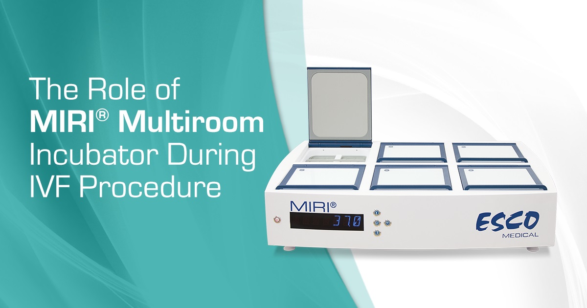 The Role of MIRI® Multiroom Incubator During In Vitro Fertilization (IVF)