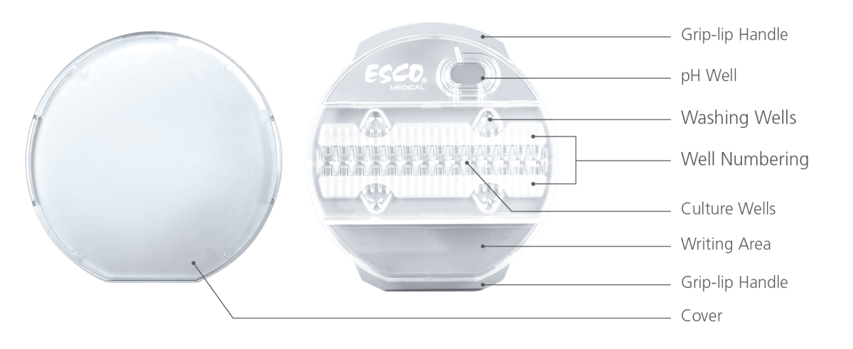 Parts of the CultureCoin® Parts of the CultureCoin®