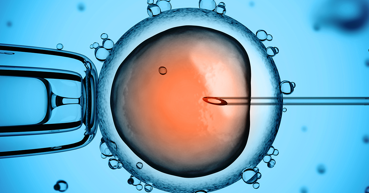 Embryo Embryo