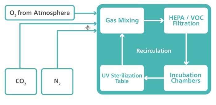 Recirculating Gas for Minimal Gas Consumption