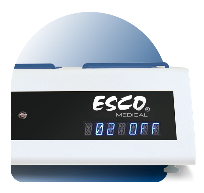 The Little Details Count