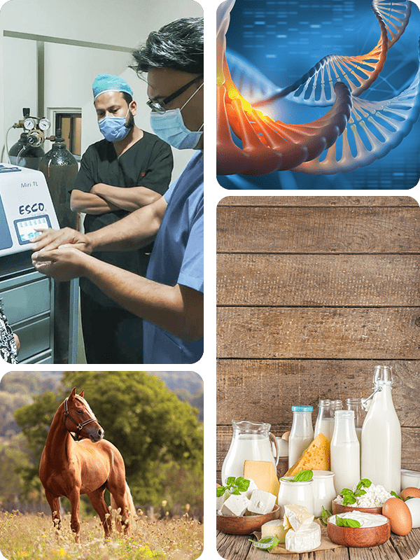 Esco Medical Newsletter (October-December 2020)