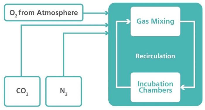 Recirculating Gas for Minimal Gas Consumption