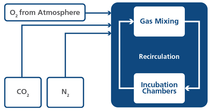 Recirculating Gas for Minimal Gas Consumption