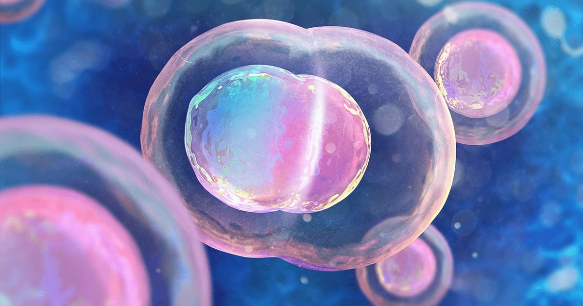 The Quality of Egg, Sperm, and Embryo